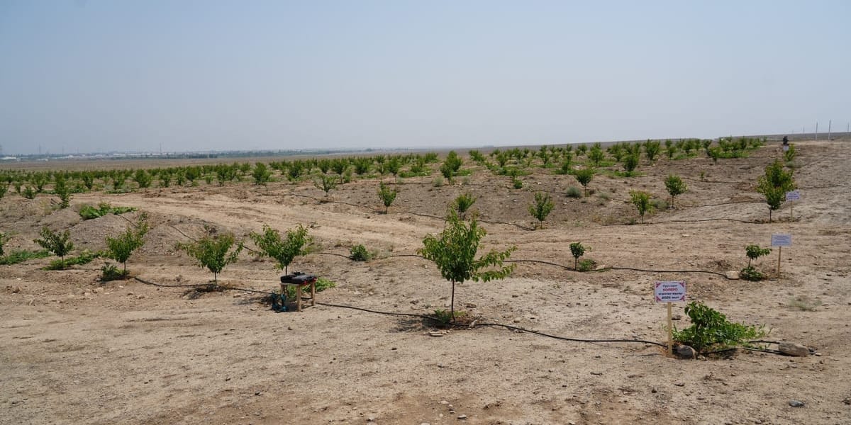 Минсельхоз КР предложил мигрантам освоить 614 тысяч га малоплодородных земель