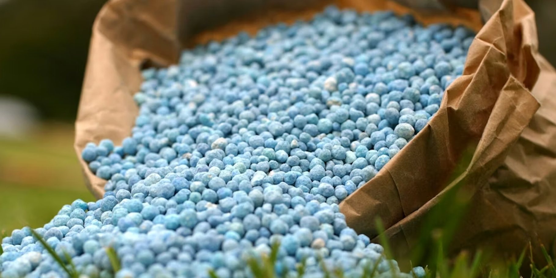 В Кыргызстан поставили более 21 тысячи тонн минеральных удобрений