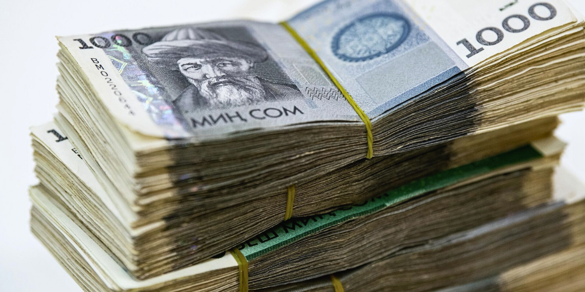 Как в КР распределят средства, сэкономленные при дебюрократизации госаппарата