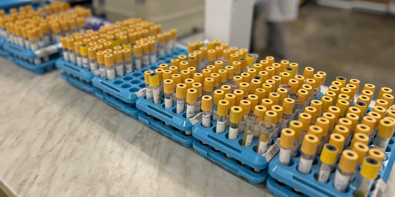 Минздрав планирует создать государственную референс-лабораторию в Бишкеке