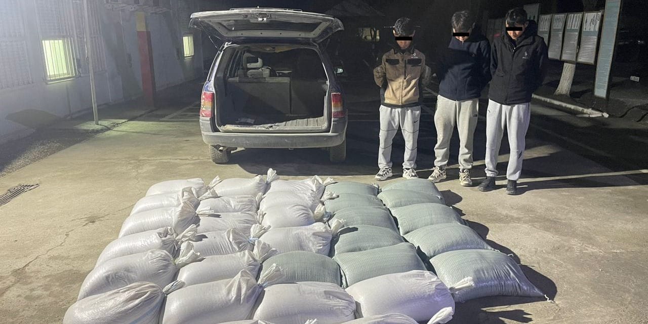 Контрабанду риса из КР в Таджикистан пресекли в Баткене