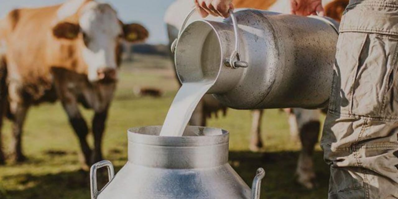 Закупочные цены на молоко в Кыргызстане обновили: ставки по жирности