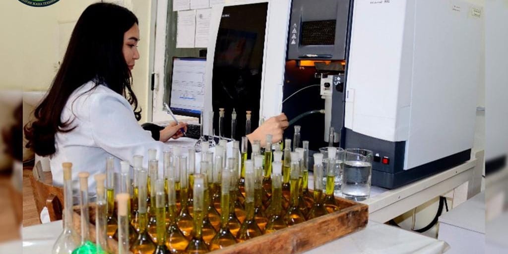 «Центральная лаборатория» Минприроды в 2025 году перевыполнила план по прибыли в три раза