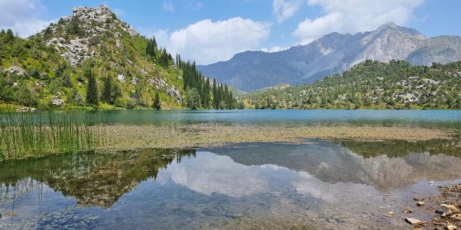 Ущерб экологии Кыргызстана в 2025 году составил 131 млн сомов