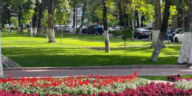 Где в Бишкеке обновят парки и скверы в 2026 году: полный список мэрии