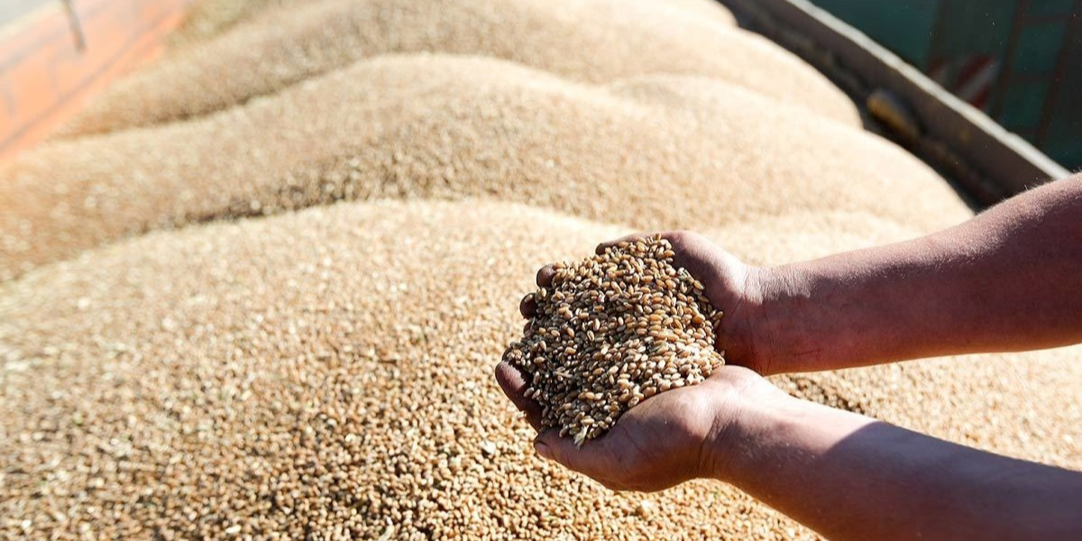 Казахстан закрыл рынок для российского зерна и кормов