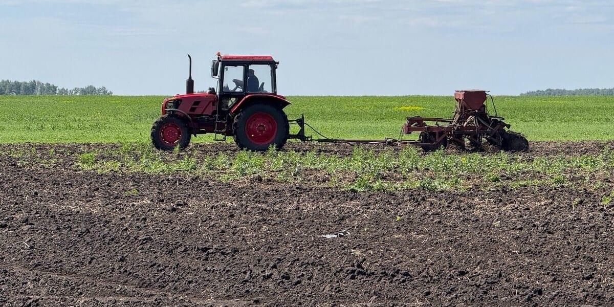 Кыргызстан начал весенний сев на площади в 1.25 млн гектаров