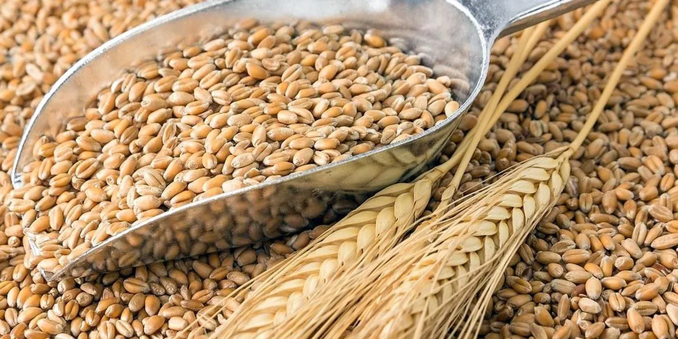 Фермеры в Кыргызстане смогут получать дотации быстрее благодаря новой АИС