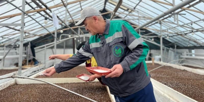 Масштабное озеленение: Бишкек в 2026 году украсят около 2 млн цветов