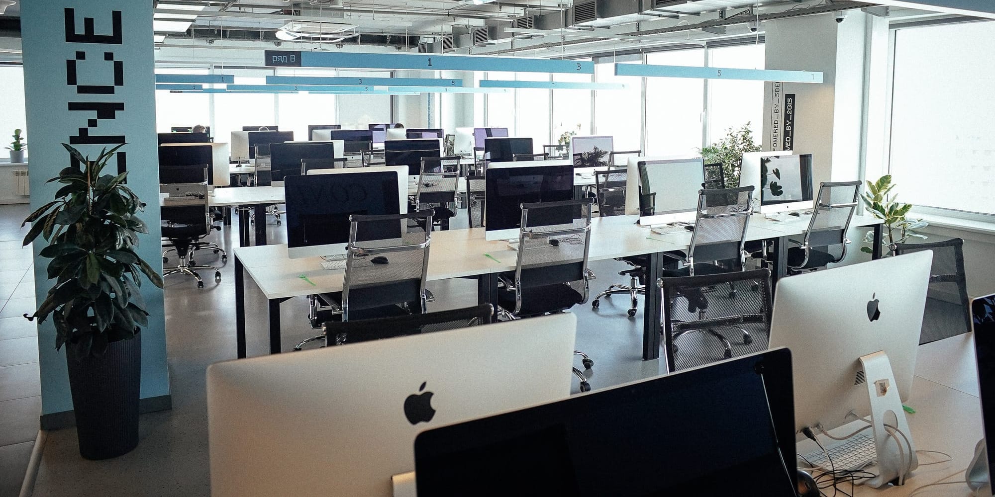 Бесплатная IT-школа для взрослых «Школа 21» в Кыргызстане: сроки запуска и детали проекта