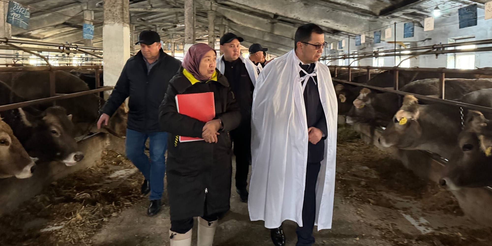 Глава Минсельхоза взял под контроль эпизоотическую ситуацию в Кыргызстане