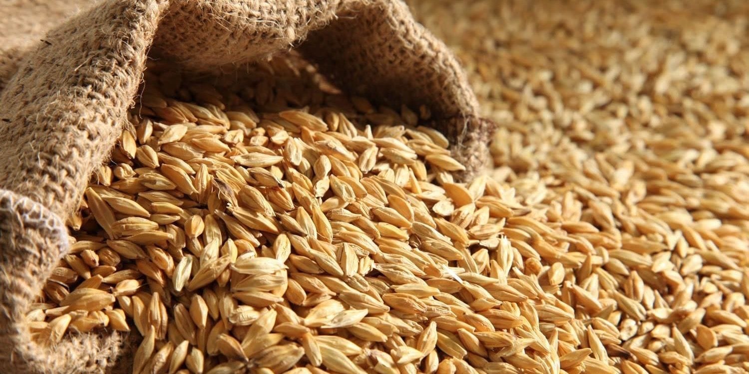 Запрет на ввоз российского зерна спровоцировал рост цен в Казахстане