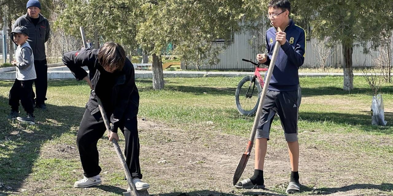 Посадка деревьев волонтерами в жилмассиве Бакай-Ата, Бишкек.