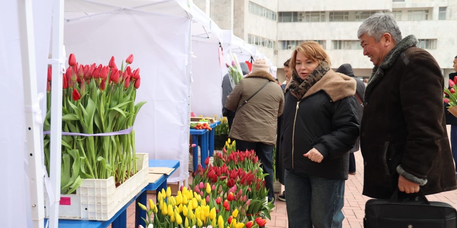 Тюльпаны от 75 сомов: в Бишкеке стартовал фестиваль цветов