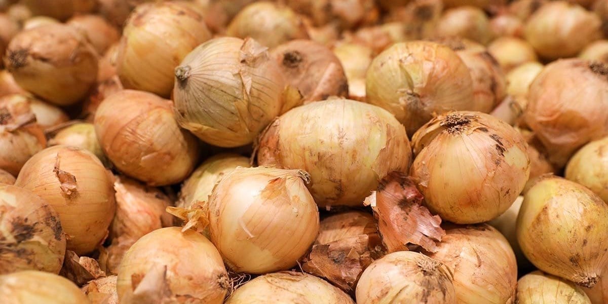 Из-за ошибок в документах 56 тонн казахстанского лука не пустили в Кыргызстан