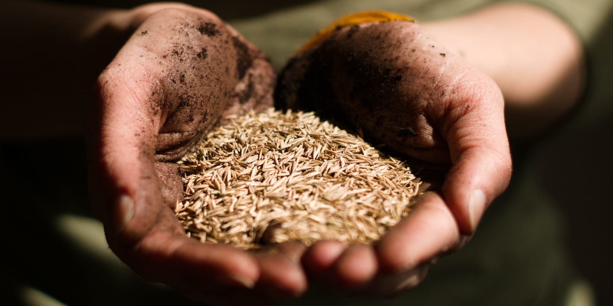 Семеноводы и владельцы теплиц в Кыргызстане получили доступ к займам под 3%