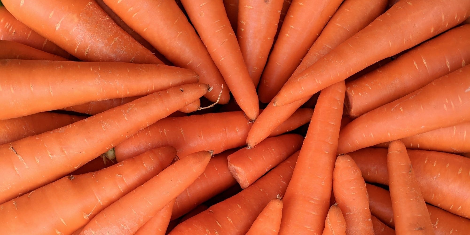 Агроэкспорт Кыргызстана вырос за год на 22% и превысил $2 млрд