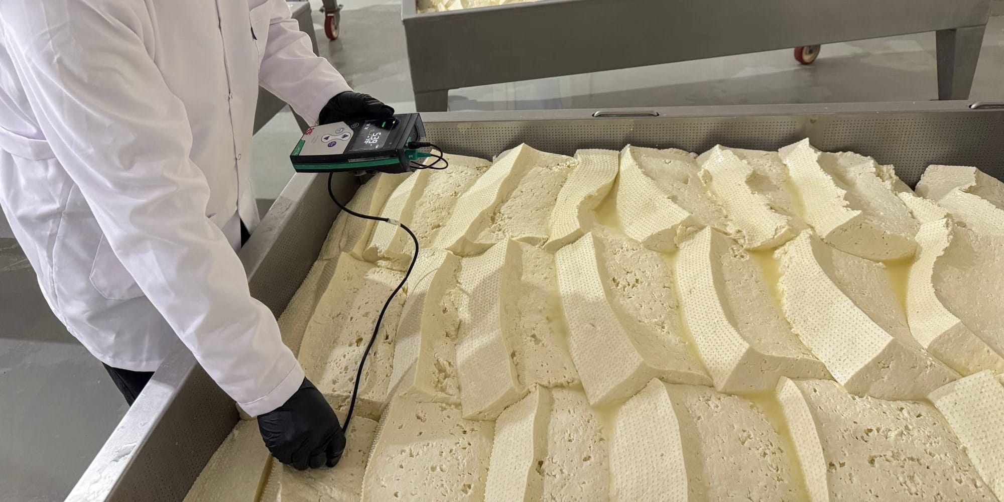 Из Токмока в Европу: завод «Элит Моцарелла» расширяет экспорт