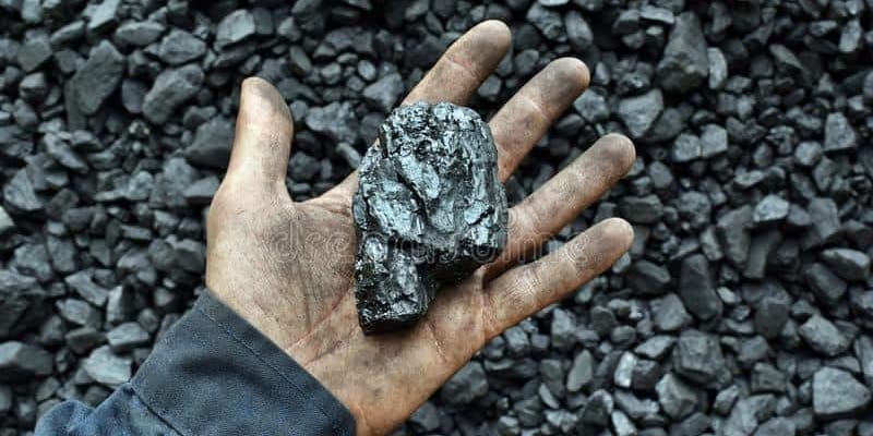 Экологи Кыргызстана подтвердили в Москве право на отраслевую экспертизу угля