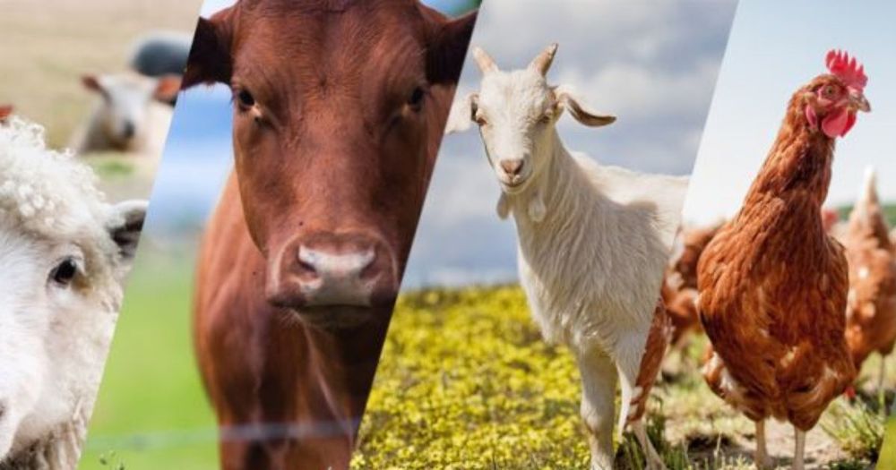 75% участников социального контракта открыли бизнес в сфере сельского хозяйства изображение публикации