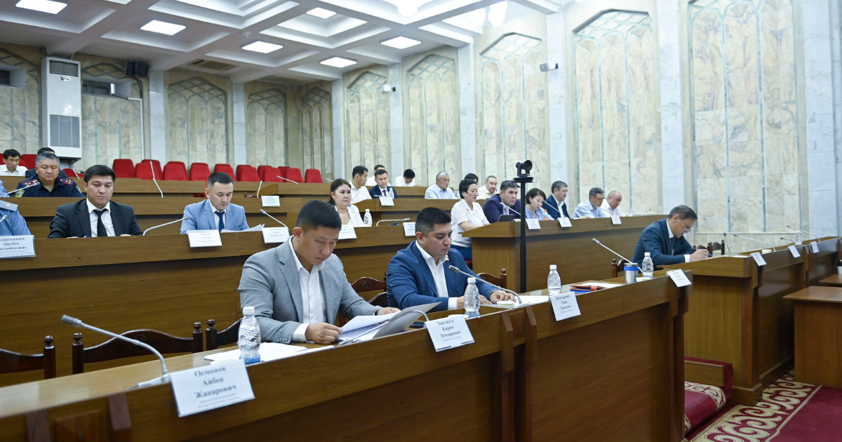 Тем, кто недавно получил гражданство КР, запретят занимать высокие посты изображение публикации