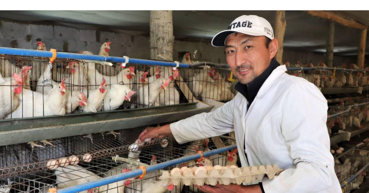 ПРООН выделила  13 млн сомов на поддержку предпринимателей Баткена изображение публикации