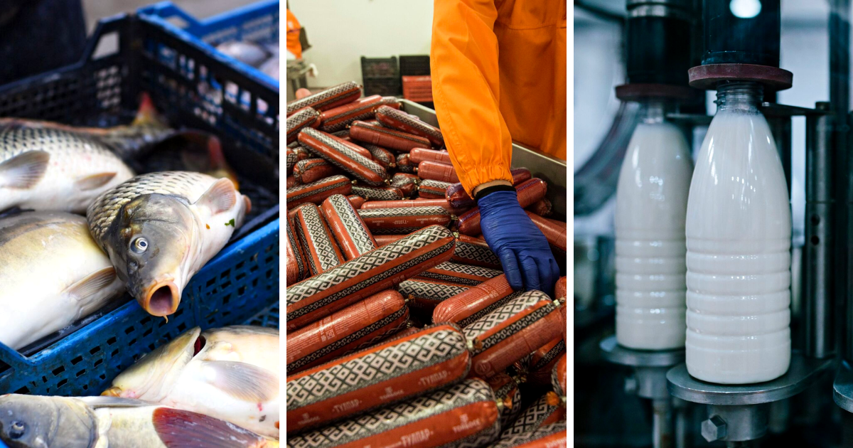 Запреты России на поставку продуктов из Кыргызстана - обоснованные претензии или политическое давление? изображение публикации