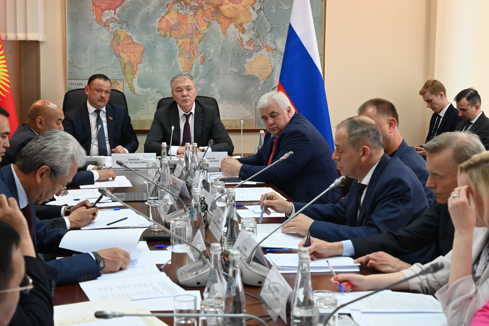 Депутаты ЖК предложили создавать миграционные центры в Кыргызстане изображение публикации