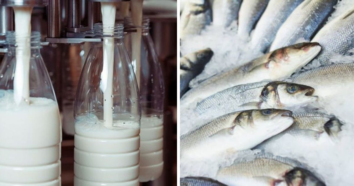 Экспорт сельхозпродукции снизился почти на 3 млрд сомов из-за запретов со стороны России изображение публикации