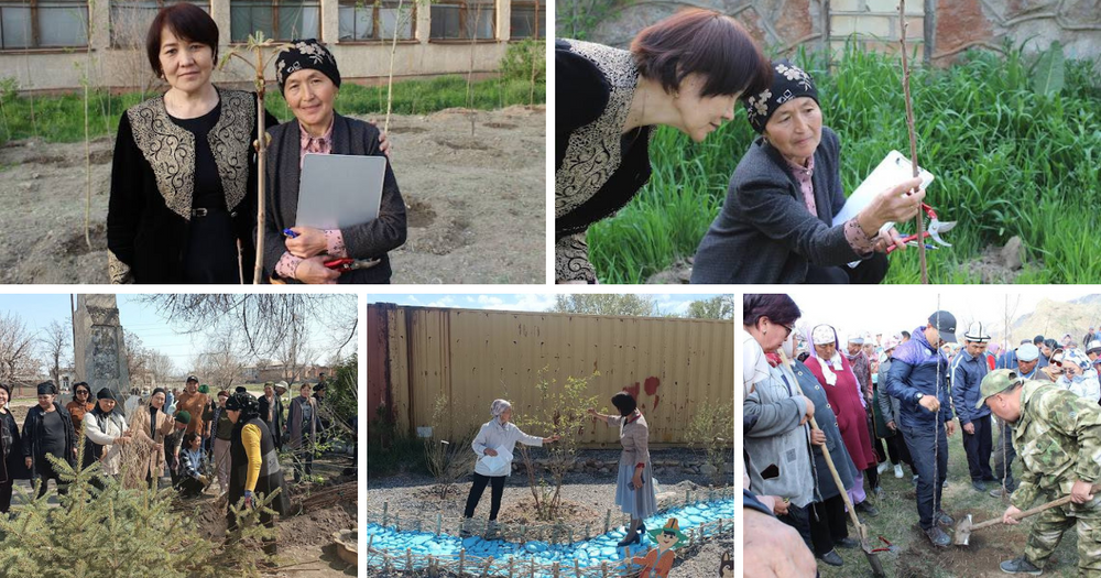 В Кыргызстане за счет доноров высадят 60 тысяч деревьев изображение публикации