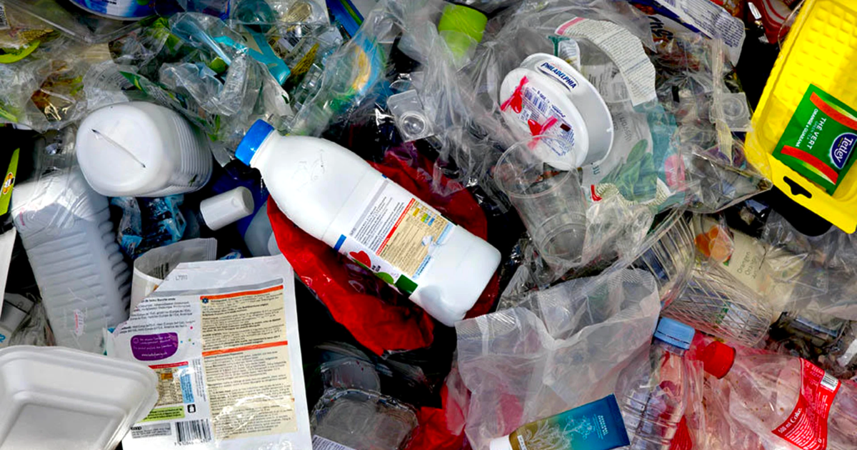 Важные комментарии бизнеса не были учтены в законе об ограничении оборота пакетов — МДС изображение публикации