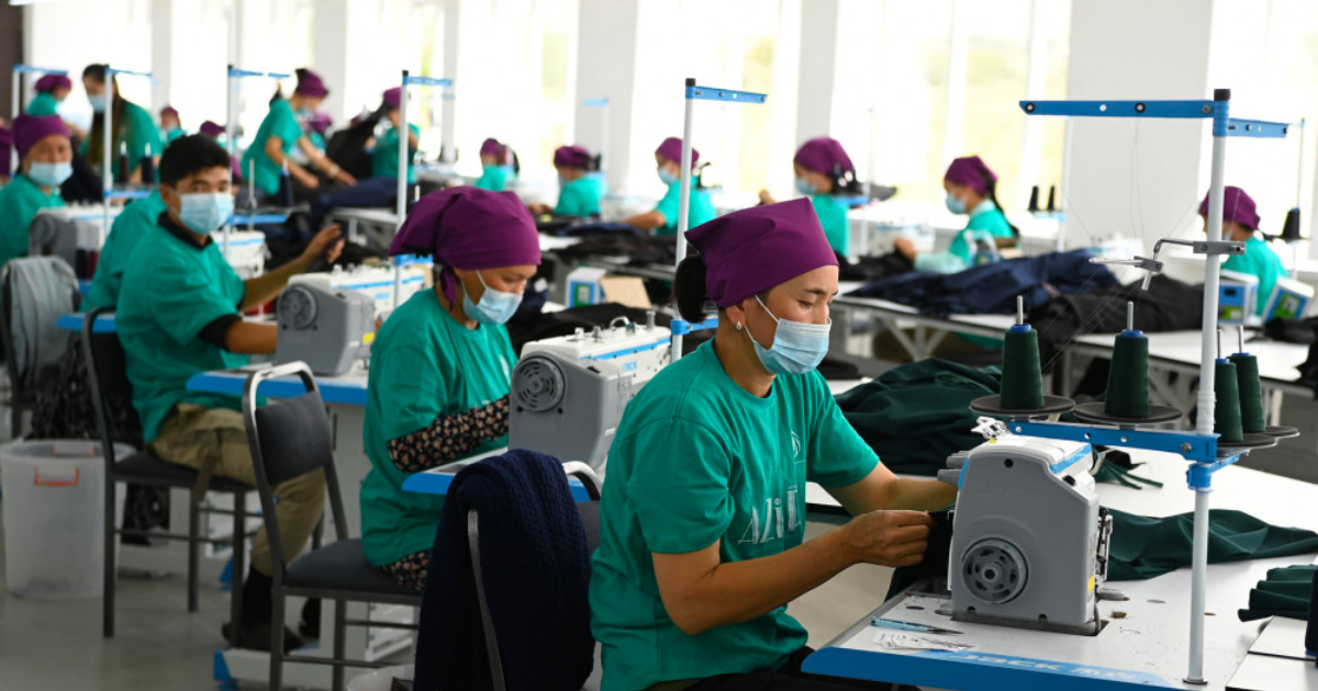 Какой бизнес открыли малоимущие, заключившие с государством социальные контракты? изображение публикации