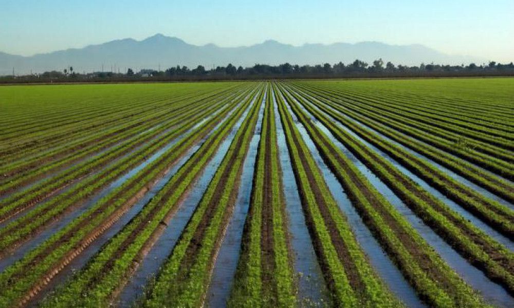 Для решения проблем с поливной водой выделено 1 млрд сомов — значительную часть направят в Чуйскую область изображение публикации