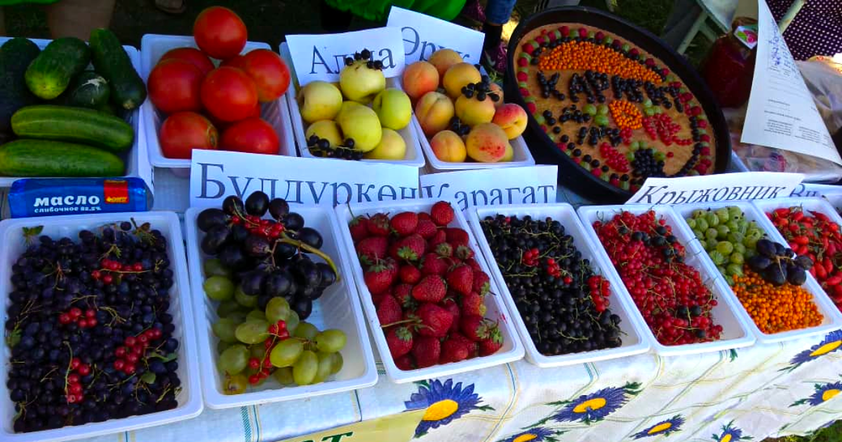 Омская область хочет закупить фрукты, овощи и ягоды из Кыргызстана изображение публикации