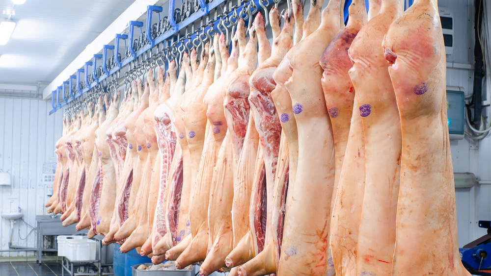 Кыргызстан запросил у ЕАЭС на 2024 год уменьшенную квоту на ввоз свинины — нет спроса изображение публикации