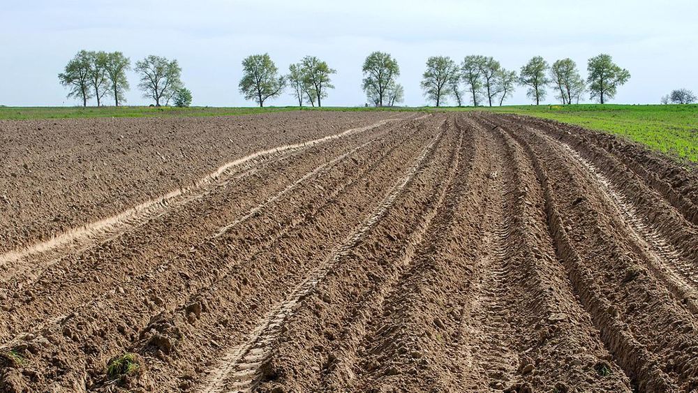 Кыргызстан ограничен в возможностях расширения пашень - замминистра сельского хозяйства КР изображение публикации