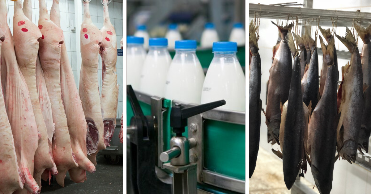 38 экспортных предприятий Кыргызстана включены в единый реестр Узбекистана изображение публикации