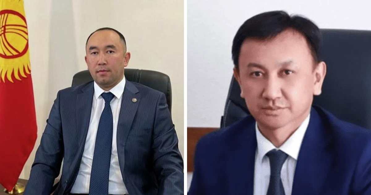 Акционеры Госстраховой организации одобрили изменения в составе руководства изображение публикации