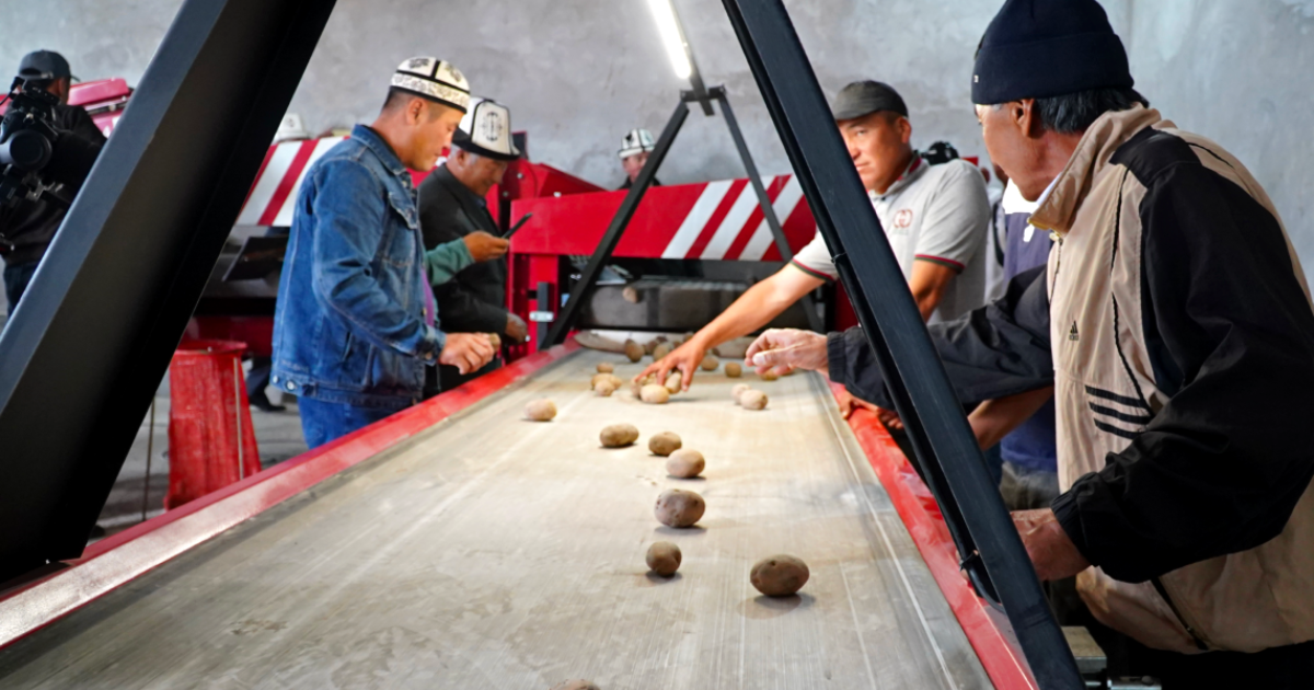 Средняя зарплата в КР вырастет почти до 41 тысячи сомов в 2026 году – но прожиточный минимум тоже увеличится изображение публикации