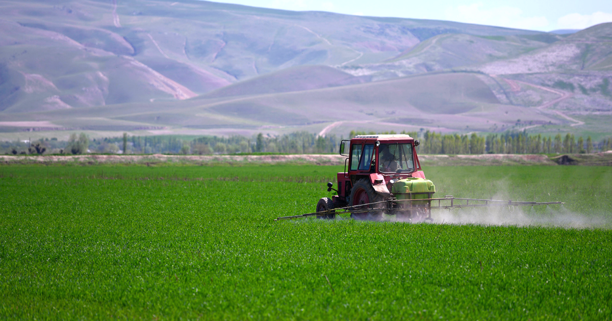 В Кыргызстане лизингом могут пользоваться только предприниматели – его хотят разрешить и для физлиц изображение публикации