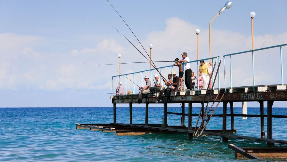 Кабмин намерен на три года запретить добычу рыбы в Иссык-Куле и Сон-Куле изображение публикации