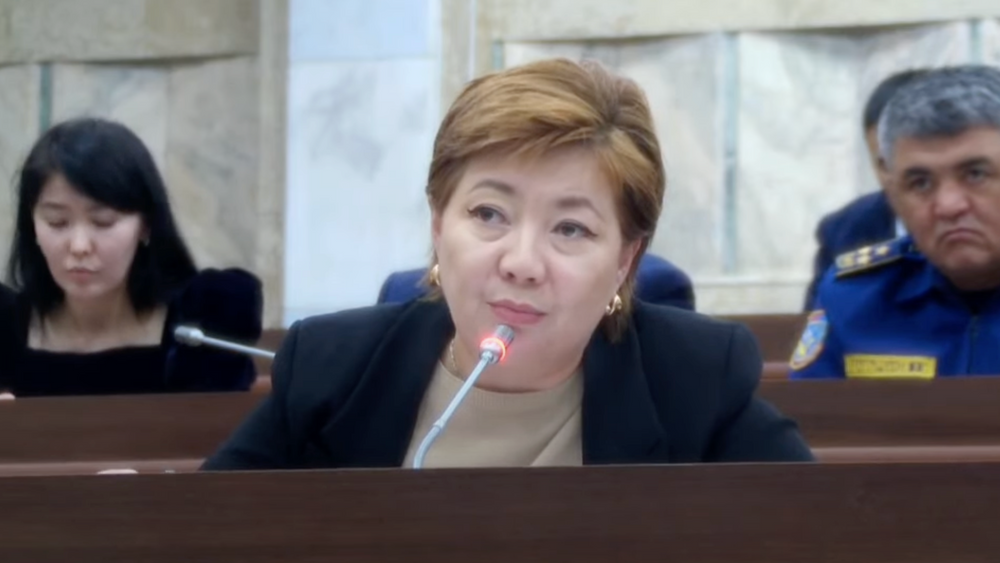 Комитет ЖК по бюджету в первом чтении одобрил отмену закона о возвращении советских вкладов изображение публикации