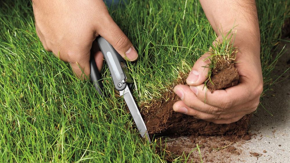 Орошаемую землю по дороге в Ала-Арчу захватили для строительства дома отдыха - Минсельхоз изображение публикации