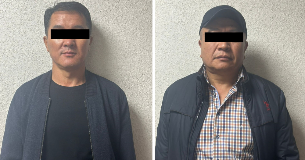 Сотрудники "Кадастра" незаконно вывели в частную собственность часть Ботанического сада в Бишкеке изображение публикации