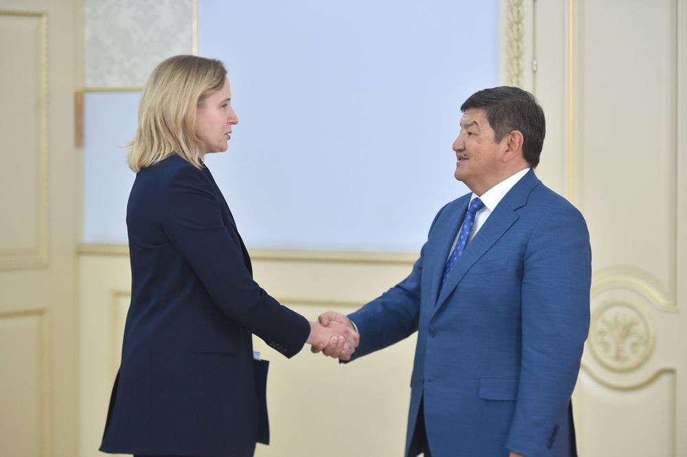 Глава кабмина КР попросил ПРООН помочь списать внешний долг в обмен на "зеленые" проекты изображение публикации