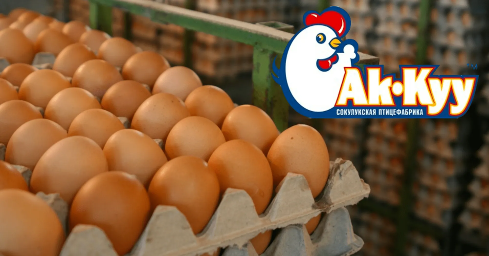 Крупнейший акционер птицефабрики "Ак-Куу" подарил 48.82% акций двум лицам изображение публикации