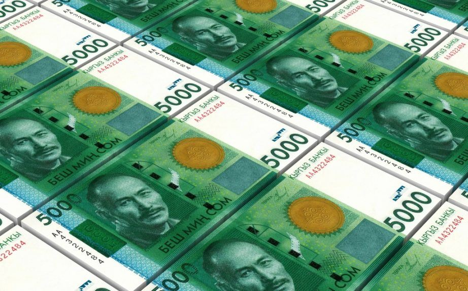 Фонд развития природы необоснованно профинансировал проекты на 758 млн сомов — Счетная палата изображение публикации