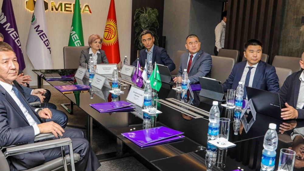 Министр цифрового развития КР ознакомилась с работой MEGA изображение публикации