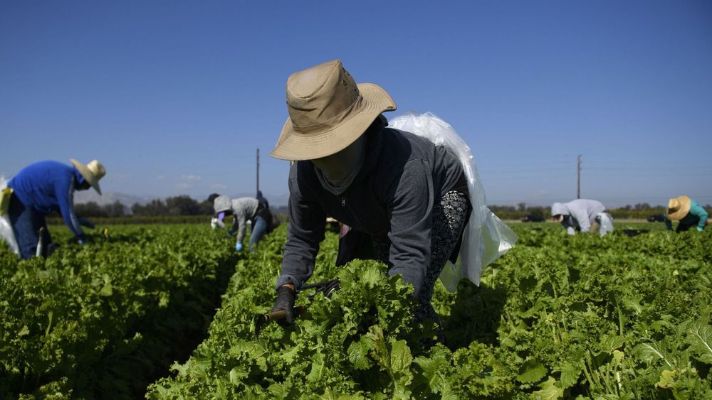 Для фермеров Кыргызстана хотят запустить электронный портал изображение публикации