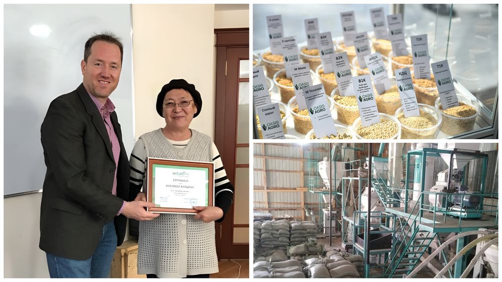 Об "игрушечном" бизнесе в США, потенциале аграриев КР, поблажках и кадровом голоде — интервью с топ-менеджером Майком Лундом изображение публикации